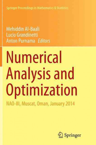 Numerical Analysis and Optimization