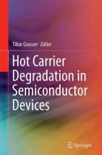 Hot Carrier Degradation in Semiconductor Devices
