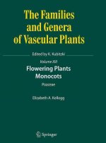 Flowering Plants. Monocots