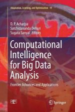 Computational Intelligence for Big Data Analysis