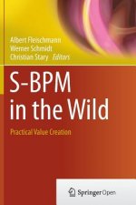 S-BPM in the Wild