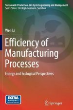 Efficiency of Manufacturing Processes