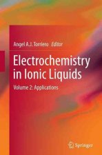 Electrochemistry in Ionic Liquids