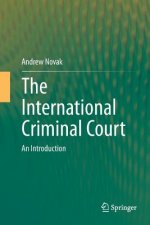 International Criminal Court