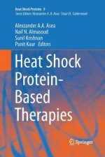 Heat Shock Protein-Based Therapies