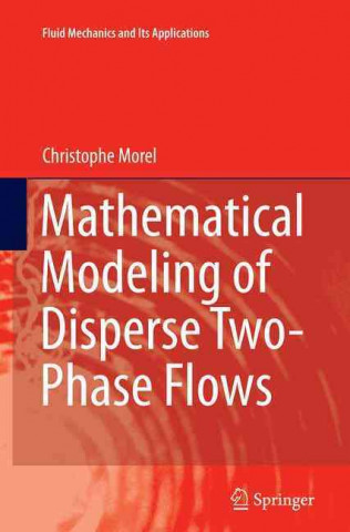 Mathematical Modeling of Disperse Two-Phase Flows