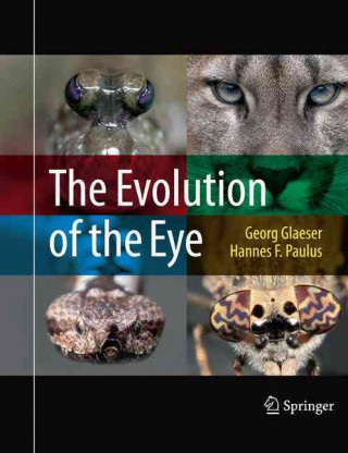 Evolution of the Eye