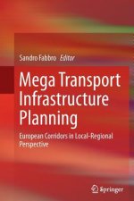 Mega Transport Infrastructure Planning