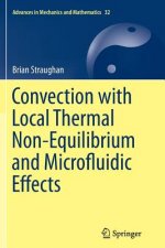 Convection with Local Thermal Non-Equilibrium and Microfluidic Effects