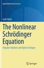Nonlinear Schroedinger Equation