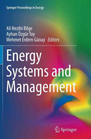 Energy Systems and Management (Ali Nezihi Bilge,Ozgur Toy,Mehmet Erdem Günay)(Brožovaná)