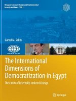 International Dimensions of Democratization in Egypt