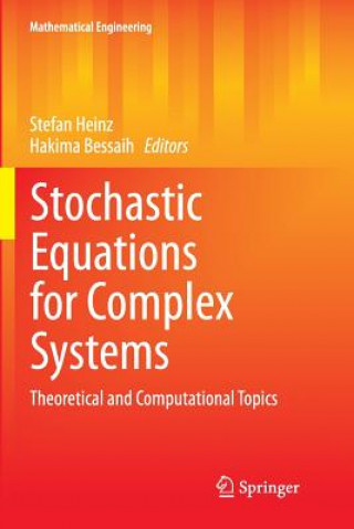 Stochastic Equations for Complex Systems
