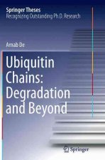 Ubiquitin Chains: Degradation and Beyond