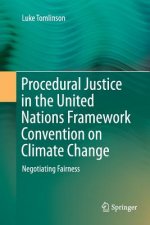 Procedural Justice in the United Nations Framework Convention on Climate Change