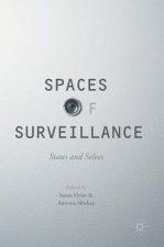 Spaces of Surveillance