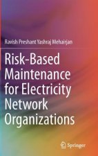 Risk-Based Maintenance for Electricity Network Organizations