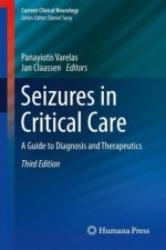 Seizures in Critical Care