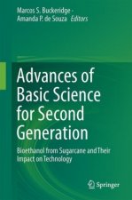 Advances of Basic Science for Second Generation Bioethanol from Sugarcane