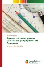 Alguns métodos para o cálculo do propagador de Feynman