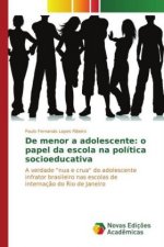 De menor a adolescente: o papel da escola na política socioeducativa