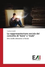 La rappresentazione sociale del concetto di 