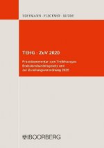 TEHG - ZuV 2020