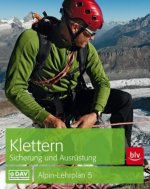 Fohlen und Jungpferde