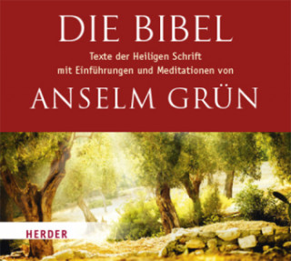 Grün, A: Bibel/ 9 CDs