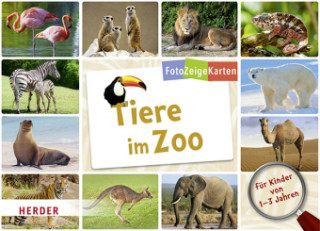 FotoZeigeKarten: Tiere im Zoo