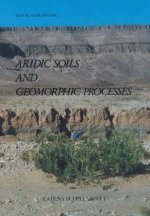 Aridic Soils and Geomorphic Processes