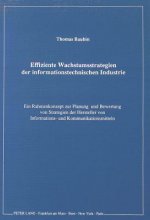 Effiziente Wachstumsstrategien der informationstechnischen Industrie