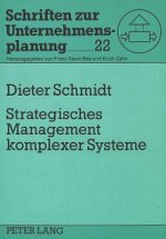 Strategisches Management komplexer Systeme