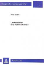 Umweltrisiken und Jahresabschlu
