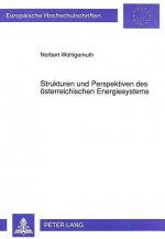 Strukturen und Perspektiven des oesterreichischen Energiesystems