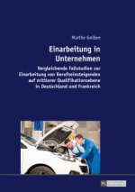 Einarbeitung in Unternehmen; Vergleichende Fallstudien zur Einarbeitung von Berufseinsteigenden auf mittlerer Qualifikationsebene in Deutschland und F