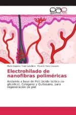 Electrohilado de nanofibras poliméricas