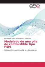 Modelado de una pila de combustible tipo PEM