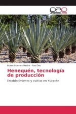 Henequén, tecnología de producción