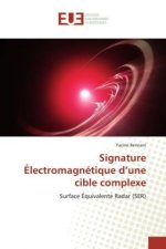 Signature Électromagnétique d'une cible complexe