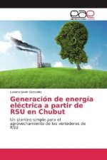 Generación de energía eléctrica a partir de RSU en Chubut