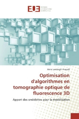 Optimisation d'algorithmes en tomographie optique de fluorescence 3D