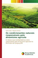 Os condicionantes naturais responsáveis pelo dinamismo agrícola