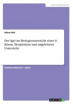 Igel im Biologieunterricht einer 6. Klasse. Hospitation und angeleiteter Unterricht