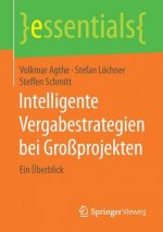 Intelligente Vergabestrategien bei Grossprojekten