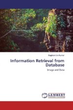 Information Retrieval from Database
