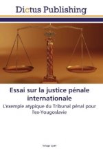 Essai sur la justice pénale internationale