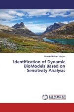 Identification of Dynamic BioModels Based on Sensitivity Analysis