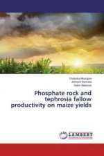 Phosphate rock and tephrosia fallow productivity on maize yields