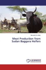 Meat Production from Sudan Baggara Heifers